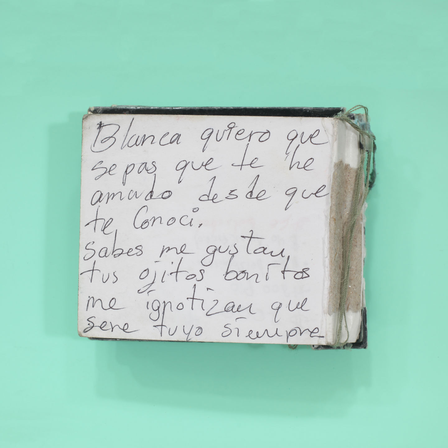tomkiefer_Diary.jpg